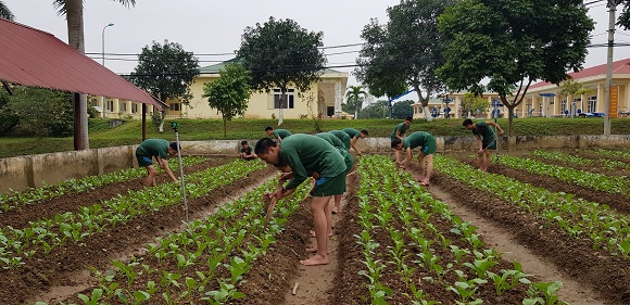HOẠT ĐỘNG TĂNG GIA SẢN XUẤT TẠI TIỂU ĐOÀN 1