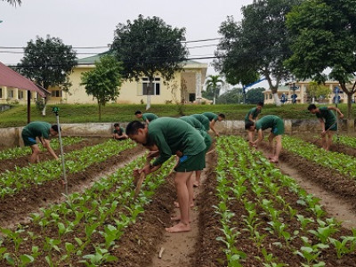 HOẠT ĐỘNG TĂNG GIA SẢN XUẤT TẠI TIỂU ĐOÀN 1