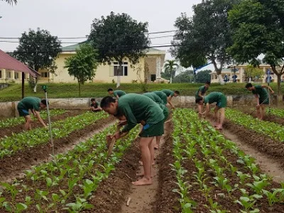 HOẠT ĐỘNG TĂNG GIA SẢN XUẤT TẠI TIỂU ĐOÀN 1