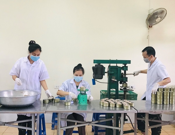 HIỆU QUẢ TỪ CÔNG NGHỆ SẢN XUẤT THỊT HỘP