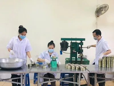 HIỆU QUẢ TỪ CÔNG NGHỆ SẢN XUẤT THỊT HỘP
