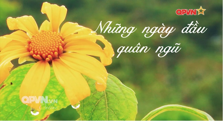 NHỮNG NGÀY ĐẦU QUÂN NGŨ